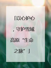 以心护心，守护雪域高原“生命之脉”