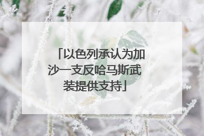 以色列承认为加沙一支反哈马斯武装提供支持