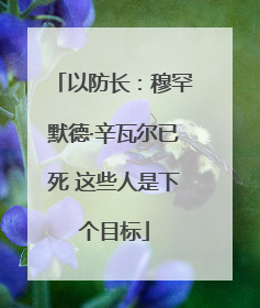 以防长：穆罕默德·辛瓦尔已死 这些人是下个目标