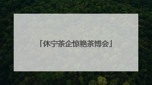 休宁茶企惊艳茶博会