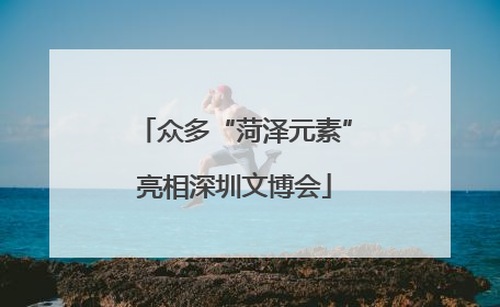 众多“菏泽元素”亮相深圳文博会