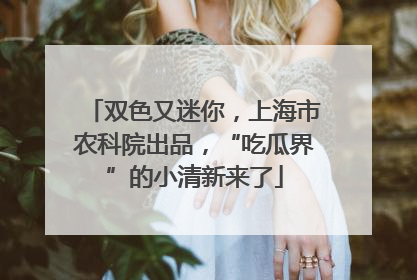 双色又迷你，上海市农科院出品，“吃瓜界”的小清新来了