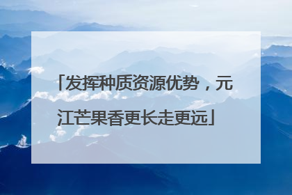发挥种质资源优势，元江芒果香更长走更远