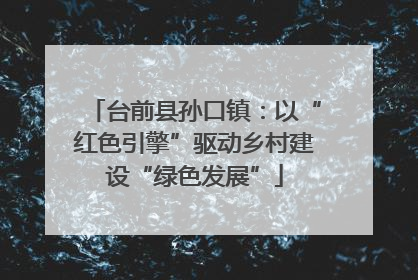 台前县孙口镇：以“红色引擎”驱动乡村建设“绿色发展”