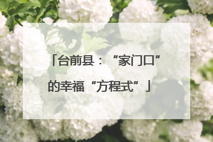 台前县：“家门口”的幸福“方程式”