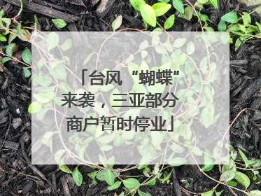 台风“蝴蝶”来袭，三亚部分商户暂时停业