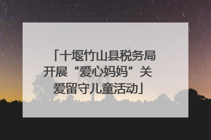 十堰竹山县税务局开展“爱心妈妈”关爱留守儿童活动