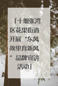 十堰张湾区花果街道开展“东风故里育新风”品牌宣讲活动