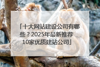 十大网站建设公司有哪些？2025年最新推荐10家优质建站公司