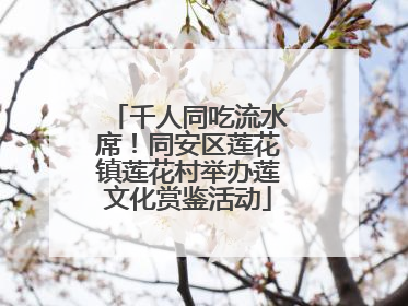 千人同吃流水席！同安区莲花镇莲花村举办莲文化赏鉴活动