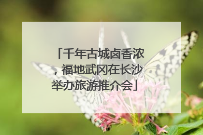千年古城卤香浓，福地武冈在长沙举办旅游推介会