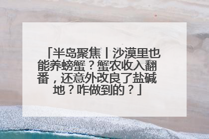 半岛聚焦丨沙漠里也能养螃蟹？蟹农收入翻番，还意外改良了盐碱地？咋做到的？