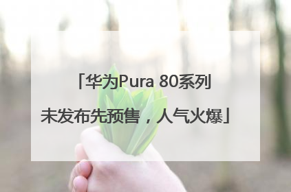 华为Pura 80系列未发布先预售，人气火爆