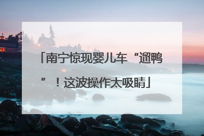 南宁惊现婴儿车“遛鸭”！这波操作太吸睛