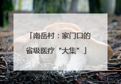 南岳村：家门口的省级医疗“大集”