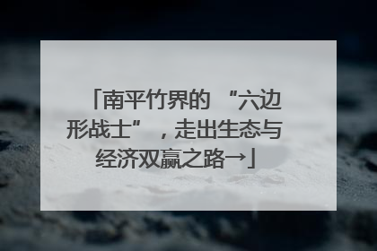 南平竹界的 “六边形战士”，走出生态与经济双赢之路→