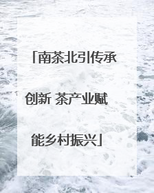 南茶北引传承创新 茶产业赋能乡村振兴