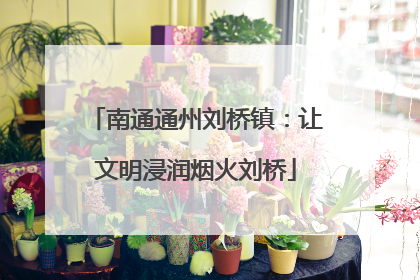 南通通州刘桥镇：让文明浸润烟火刘桥