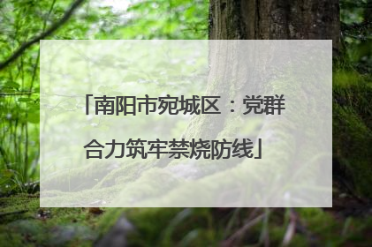 南阳市宛城区：党群合力筑牢禁烧防线