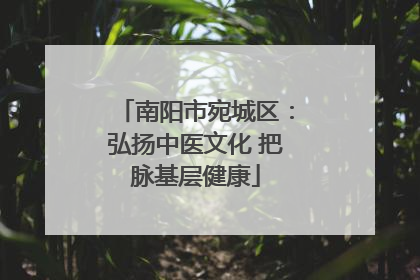 南阳市宛城区：弘扬中医文化 把脉基层健康