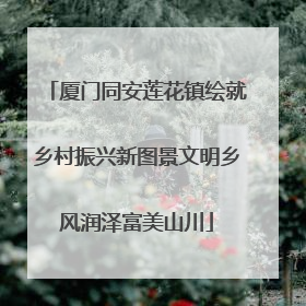 厦门同安莲花镇绘就乡村振兴新图景文明乡风润泽富美山川