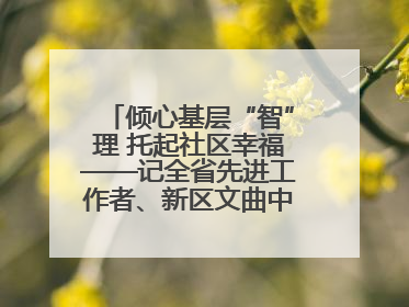 倾心基层“智”理 托起社区幸福——记全省先进工作者、新区文曲中心社区党委书记董世弘