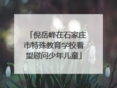 倪岳峰在石家庄市特殊教育学校看望慰问少年儿童