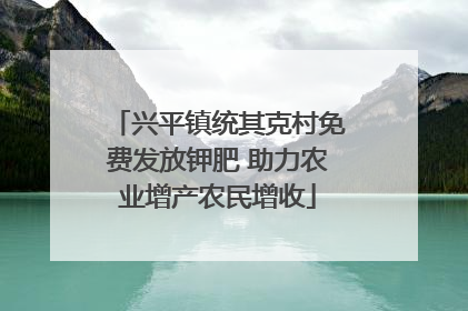 兴平镇统其克村免费发放钾肥 助力农业增产农民增收