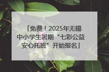 免费！2025年无锡中小学生暑期“七彩公益安心托班”开始报名