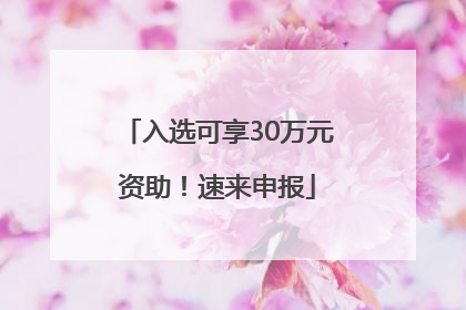 入选可享30万元资助！速来申报