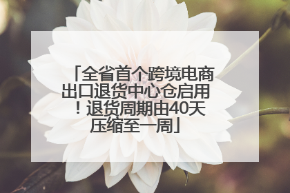 全省首个跨境电商出口退货中心仓启用！退货周期由40天压缩至一周