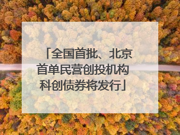 全国首批、北京首单民营创投机构科创债券将发行