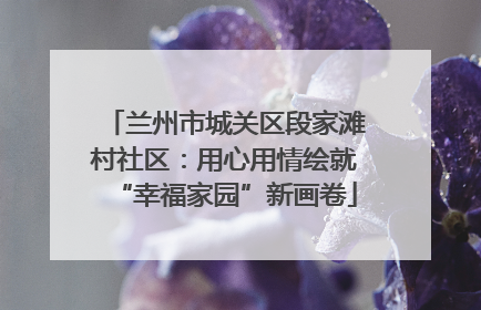 兰州市城关区段家滩村社区：用心用情绘就“幸福家园”新画卷