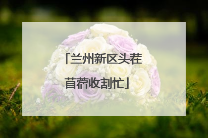 兰州新区头茬苜蓿收割忙