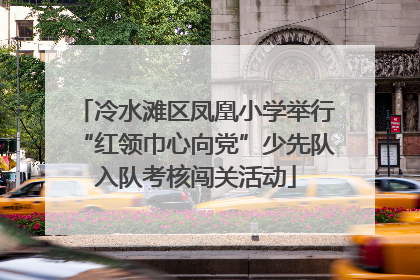 冷水滩区凤凰小学举行“红领巾心向党”少先队入队考核闯关活动