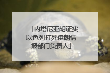 内塔尼亚胡证实以色列打死伊朗情报部门负责人