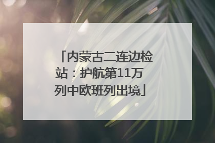 内蒙古二连边检站：护航第11万列中欧班列出境
