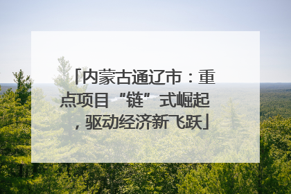 内蒙古通辽市：重点项目“链”式崛起，驱动经济新飞跃