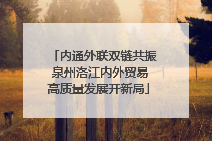 内通外联双链共振 泉州洛江内外贸易高质量发展开新局