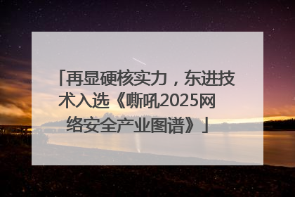 再显硬核实力，东进技术入选《嘶吼2025网络安全产业图谱》