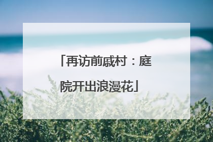 再访前戚村：庭院开出浪漫花