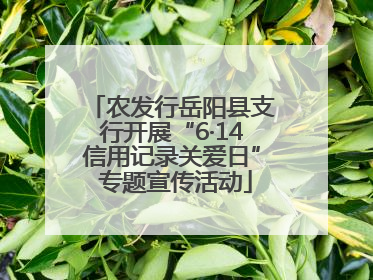 农发行岳阳县支行开展“6·14信用记录关爱日” 专题宣传活动