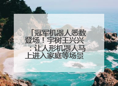 冠军机器人悉数登场！宇树王兴兴：让人形机器人马上进入家庭等场景并不现实