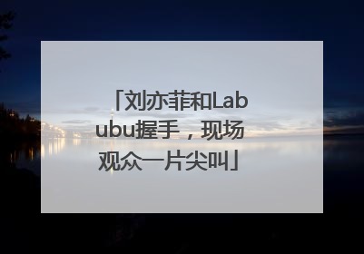 刘亦菲和Labubu握手，现场观众一片尖叫