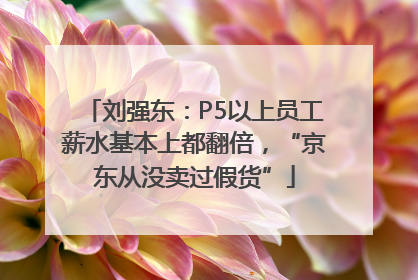 刘强东：P5以上员工薪水基本上都翻倍，“京东从没卖过假货”