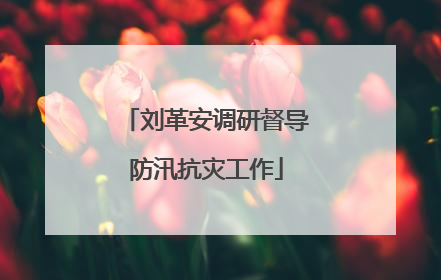 刘革安调研督导防汛抗灾工作