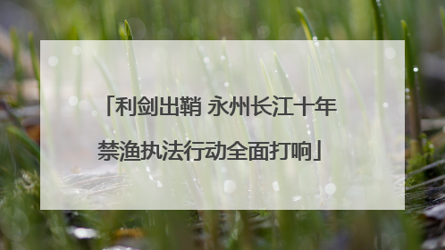 利剑出鞘 永州长江十年禁渔执法行动全面打响
