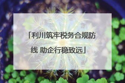 利川筑牢税务合规防线 助企行稳致远