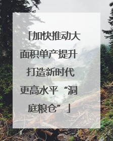 加快推动大面积单产提升 打造新时代更高水平“洞庭粮仓”