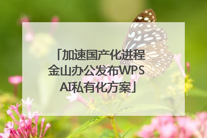 加速国产化进程 金山办公发布WPS AI私有化方案